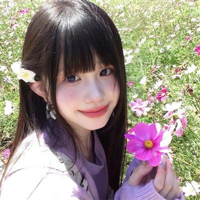 狗狗体型之谜 封面